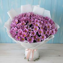Букет цветов из:  Хризантемы в Николаевке Ростовской области