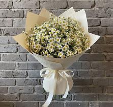 Букет цветов из:  Ромашки в Николаевке Ростовской области