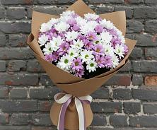 Букет цветов из:  Хризантемы в Николаевке Ростовской области