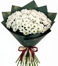 Букет цветов из:  Хризантемы в Николаевке Ростовской области