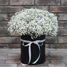 Цветочная композиция из Гипсофила в шляпной коробке в Николаевке Ростовской области